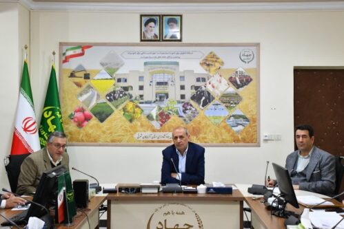 بذر اصلاح شده شهرام شفیعی جهاد کشاورزی آذربایجان شرقی