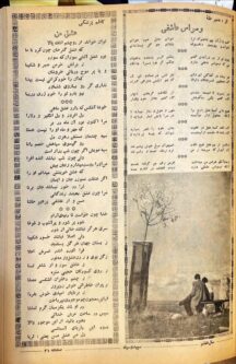 وداع با پروفسور منیر طه تبریزی چهره بین‌المللی ادبیات و موسیقی ملل