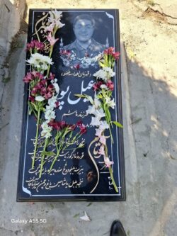 اهدای عضو