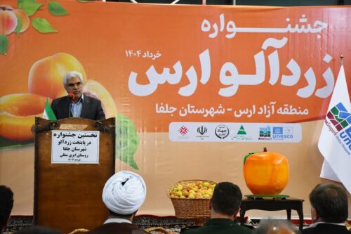 ظرفیت برداشت ۵۰ هزار تن زردآلو در جلفا