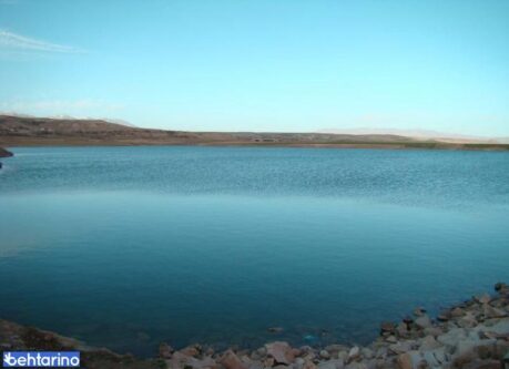 آغاز پرورش آبزیان در قفس در سد آونلیق شهرستان میانه