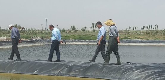 اولین مزرعه پرورش آرتمیا در آذربایجان شرقی به بهره برداری میرسد