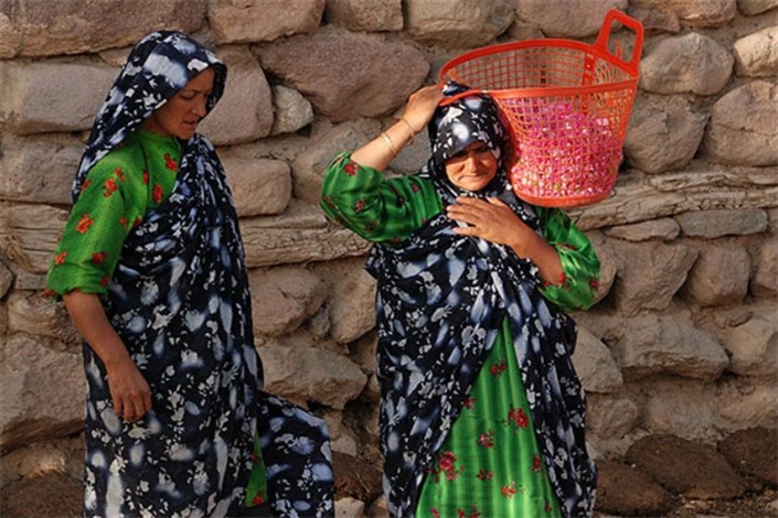 امنیت از جنسی دیگر؛ روایت بیمه زنان روستایی و عشایری