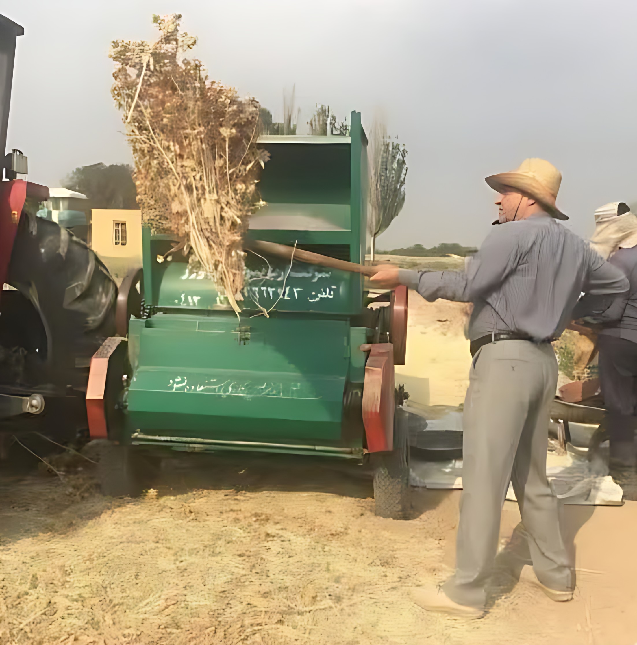 آغاز برداشت گلرنگ صفه در اراضی کمبازده آذربایجان شرقی