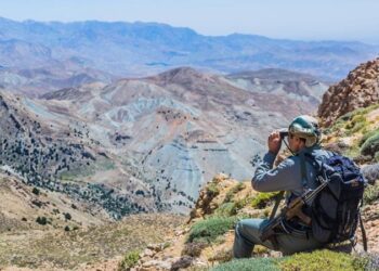 محیطبانان، نگهبانان بیادعای طبیعت