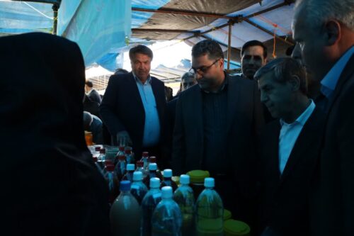 آذرشهر قطب تولید لپه در سطح خاورمیانه و جهان