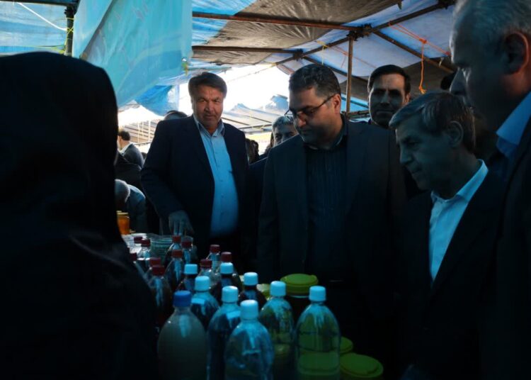 آذرشهر قطب تولید لپه در سطح خاورمیانه و جهان