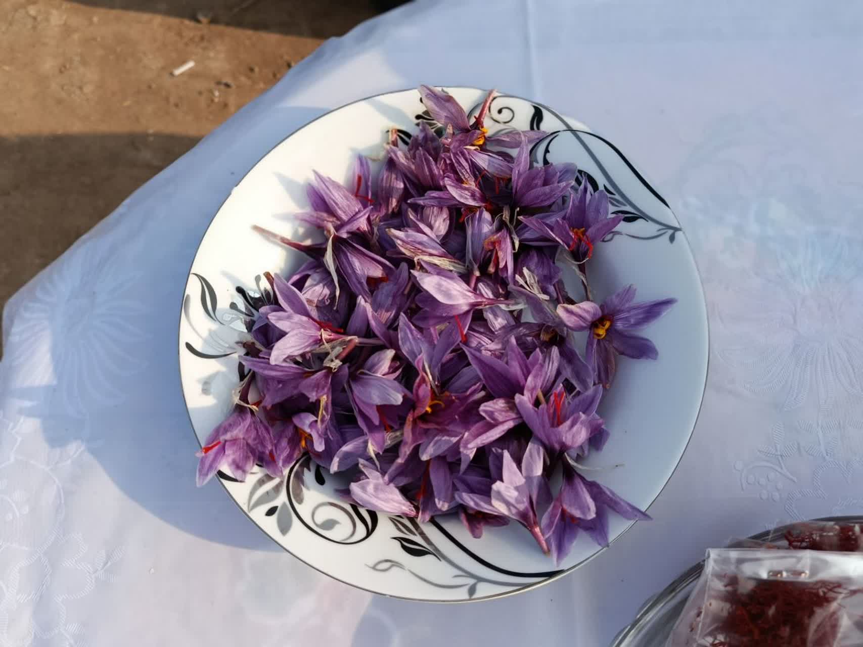 آیین برداشت زعفران در خسروشاه برگزار شد