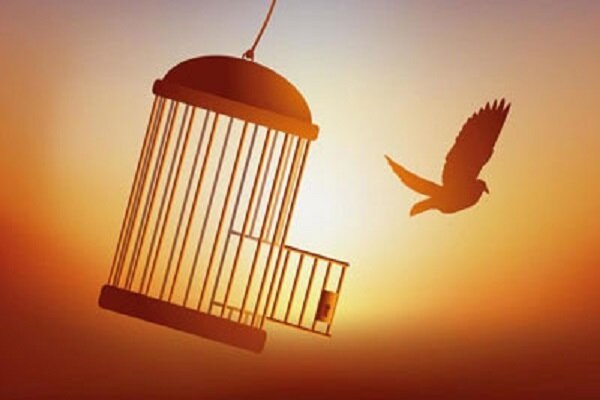 هفته حملونقل و رانندگان با رهایی ۵۰ زندانی، رنگ مهربانی گرفت