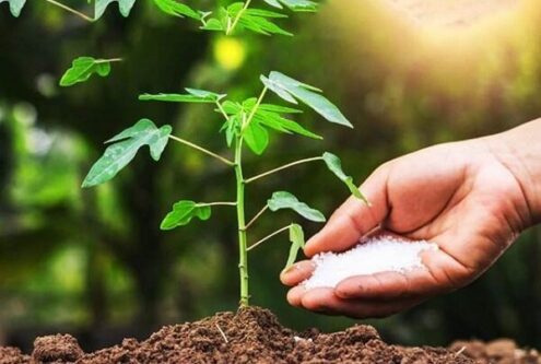 پنج بهره‌بردار کشاورزی آذربایجان‌شرقی برگزیده ملی شدند