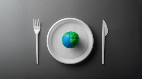 فلسفه خلق و مصرف: تعادل میان آفرینش و بهره‌مندی