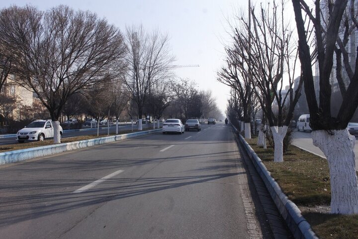 احداث نخستین خیابان گل در تبریز