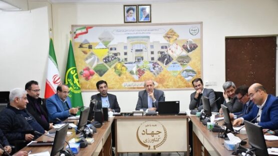 مرغداران بابت تامین نهاده‌ها و فروش محصول خود نگرانی نداشته باشند