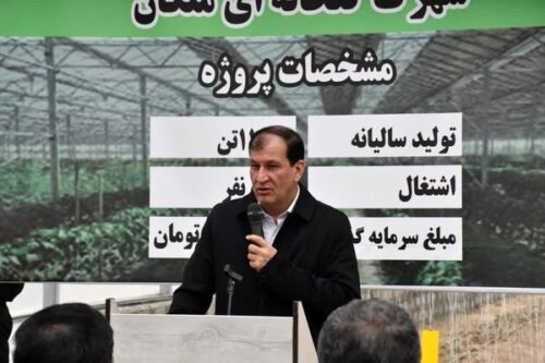 رتبه نخست آذربایجان شرقی در ایجاد گلخانههای مدرن