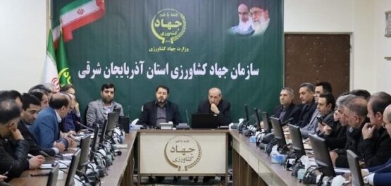 تسهیل صادرات تخممرغ برای حمایت از تولیدکنندگان آذربایجان شرقی