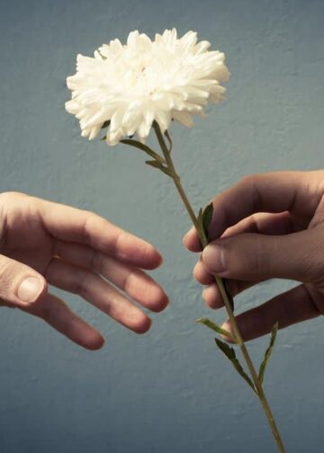 روایت قدرشناسی در تبریز؛ بزرگداشت نخبگان پیش از فراموشی