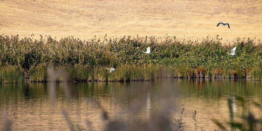 ساختمان محیط‌بانی تالاب قره‌قشلاق بناب افتتاح شد