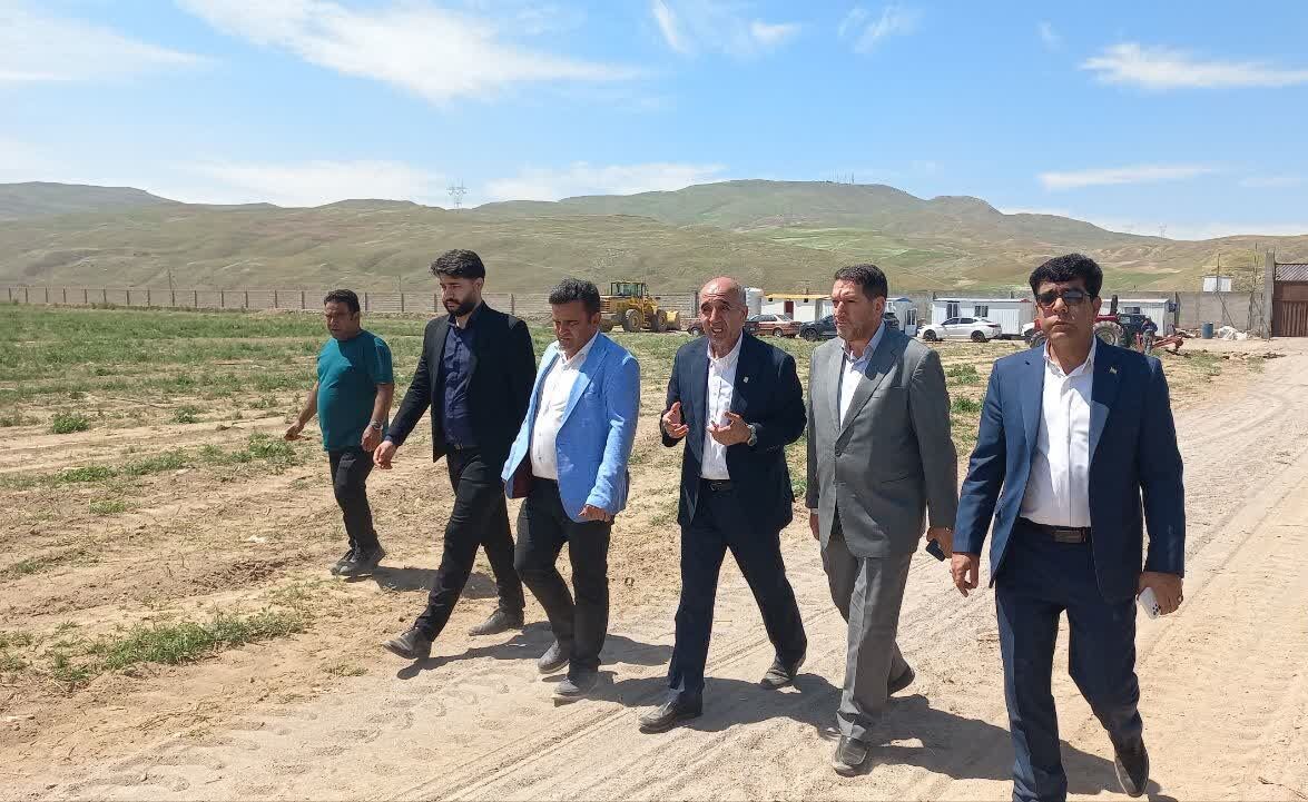 نیروگاه خورشیدی هفت مگاواتی در هشترود احداث می‌شود