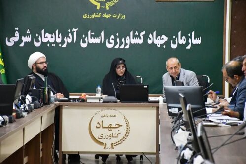 با وجود چالشهای متعدد، بخش کشاورزی در سال ۱۴۰۴ عملکرد موفقی داشت
