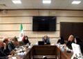 همافزایی دستگاههای اجرایی برای حمایت از درمان ناباروری ضروری است