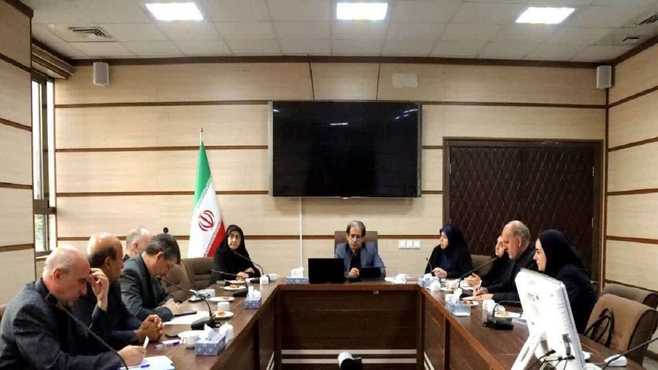 هم‌افزایی دستگاه‌های اجرایی برای حمایت از درمان ناباروری ضروری است