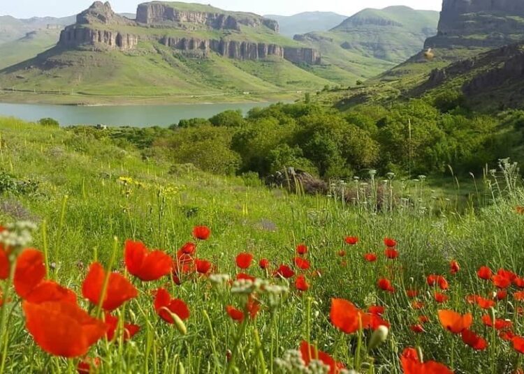 قابلیت های گردشگری قلعه چای باید احیا شود