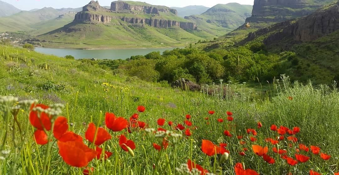 قابلیت های گردشگری قلعه چای باید احیا شود