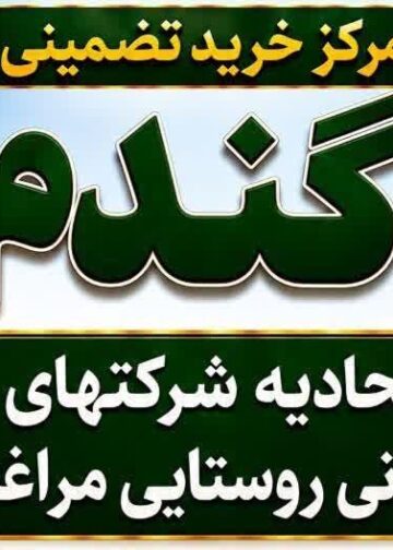 از سرگیری خرید تضمینی گندم در اتحادیه تعاون روستایی مراغه پس از سال ها وقفه