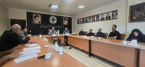 مدیرکل حفاظت محیط زیست آذربایجان شرقی: رعایت الزامات زیستمحیطی در شهرک صنعتی چرمشهر تبریز ضروری است