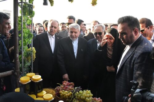 افتتاح هشتمین جشنواره انگور و دوشاب ملکان