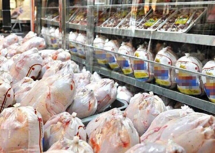 آغاز خرید بیش از یک هزار تن مرغ تولید داخل در آذربایجان شرقی