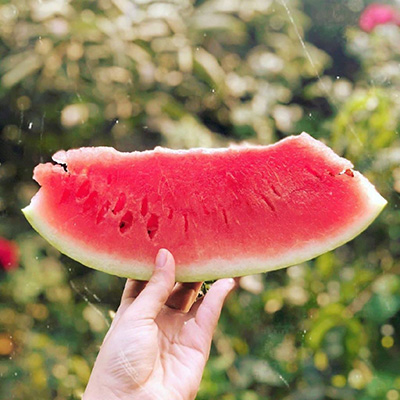 روزگاری که سادگی غریب نبود