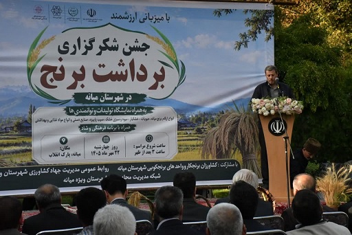 میانه رتبه نخست تولید برنج در آذربایجان شرقی را دارد