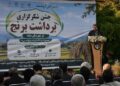 میانه رتبه نخست تولید برنج در آذربایجان شرقی را دارد